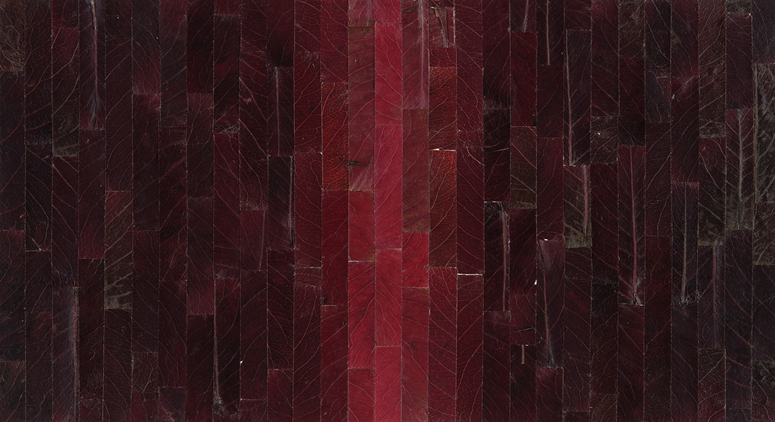 Twenty-nine Sliced Leaves